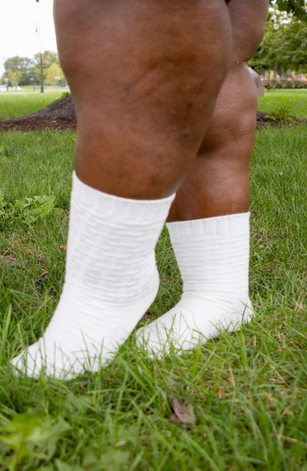 Everyday Crew Socks - White